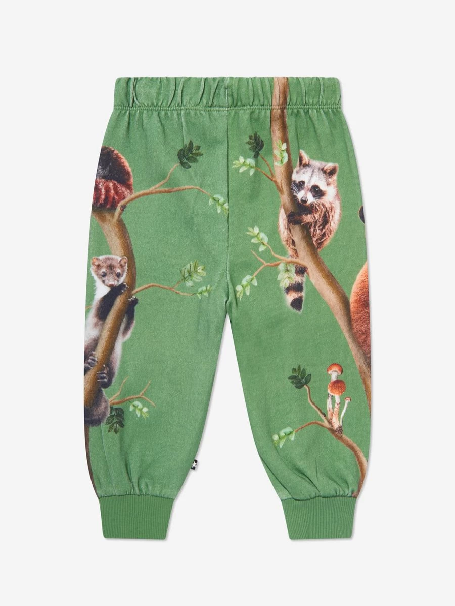 Molo Baby Green Animal Print Joggers for Toddlers