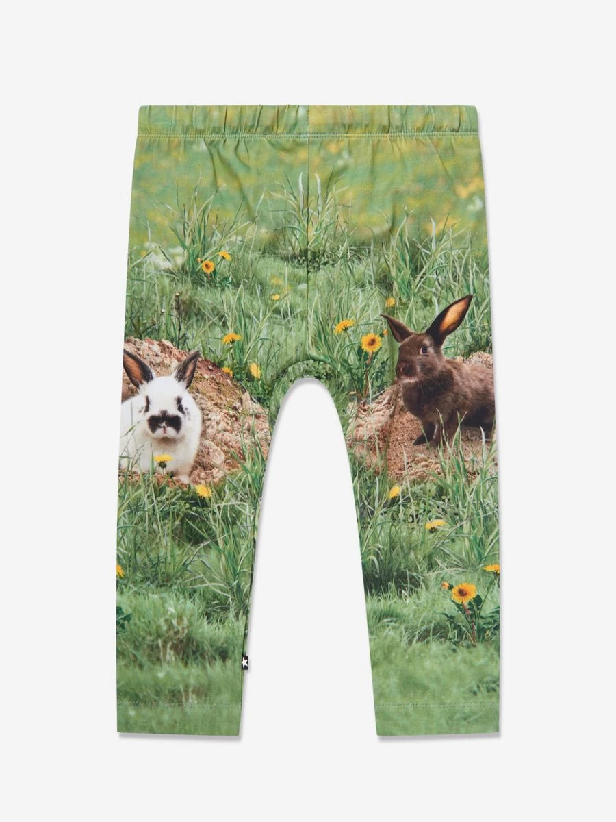 Molo Baby Green Rabbit Print Joggers for Toddlers