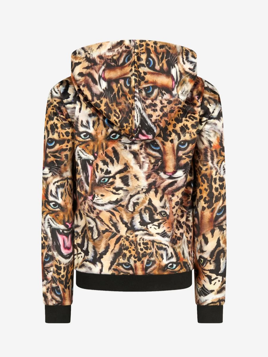 Roberto Cavalli Girls' Fashion Sweatshirt - Trendy Cotton Blend Top for Teens