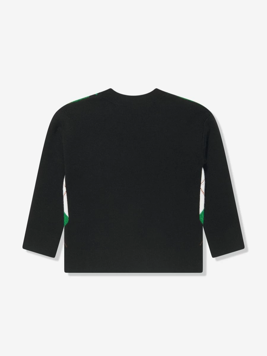 Burberry Kids Boys Green Argyle Bear Embroidered Sweatshirt