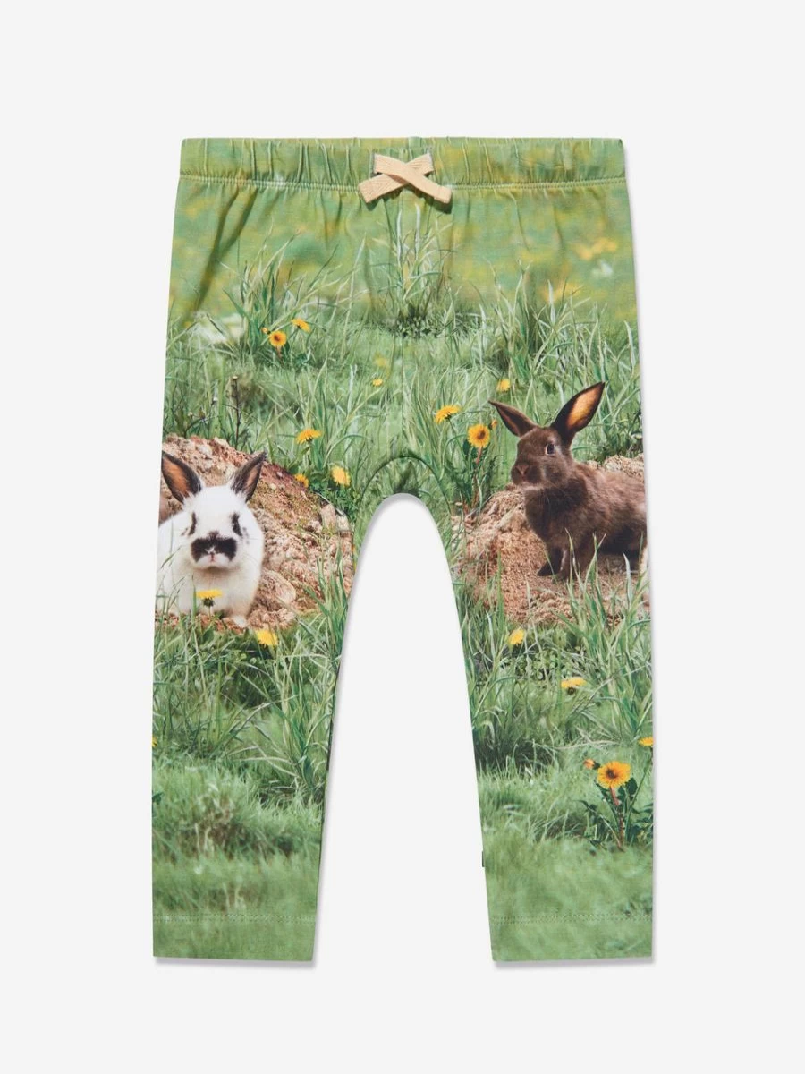 Molo Boys' Green Rabbit Print Joggers for Kids