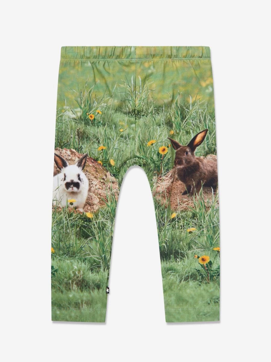 Molo Boys' Green Rabbit Print Joggers for Kids